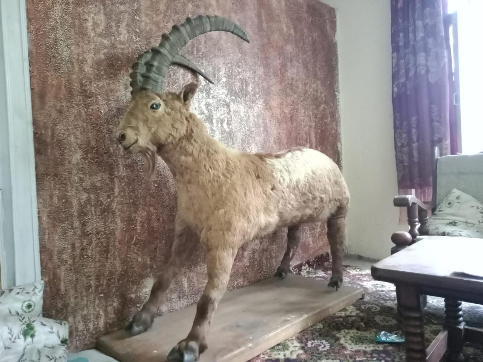 Golden Ibex Resort Skardu Zewnętrze zdjęcie
